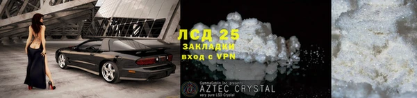 прущие грибы Красноперекопск