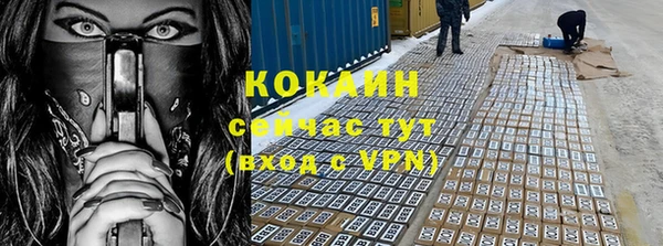 прущие грибы Красноперекопск