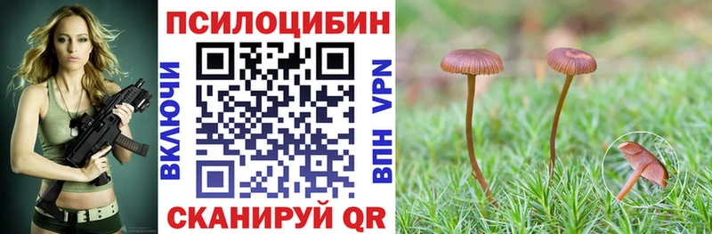 где найти   Бикин  Псилоцибиновые грибы MAGIC MUSHROOMS 